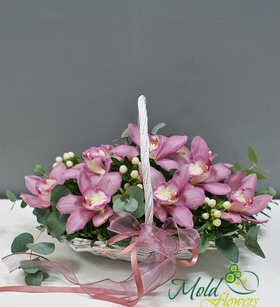 Корзинка с розовыми орхидеями Фото 394x433